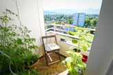 Gemütliche 1,5-Zimmerwohnung mit traumhafter Aussicht in Bregenz (ab 08/2025 oder nach Vereinbarung) - Foto_3075