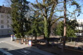 Zentral gelegene 1-Zimmerwohnung mit Balkon in Bregenz, Belruptstraße zu vermieten (ab April 2025) - DSC_0008